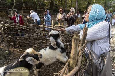 حظ مهمانان خارجی در میزبان